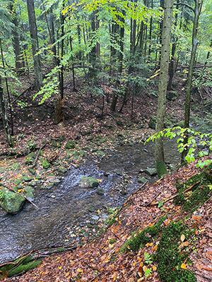 Magurski Park Narodowy